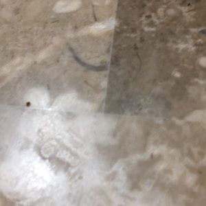 Meet your Posher, Kat